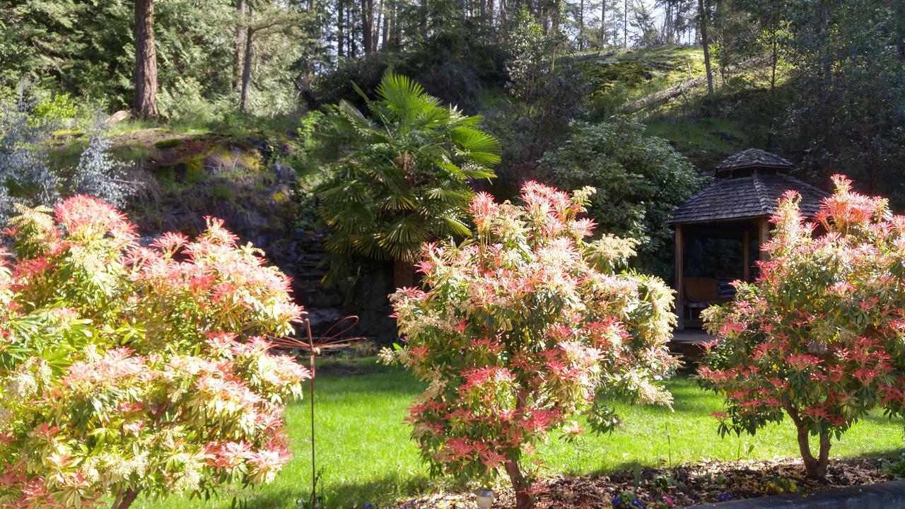 סישלט Sunshine Coast Treetop B&B מראה חיצוני תמונה