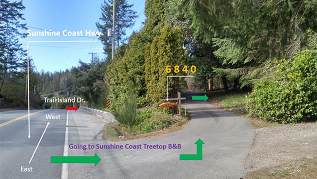 סישלט Sunshine Coast Treetop B&B מראה חיצוני תמונה