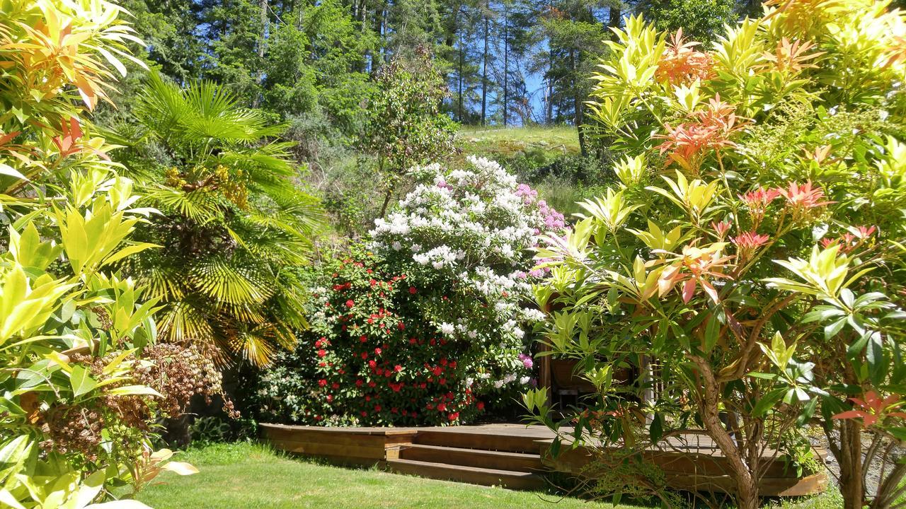 סישלט Sunshine Coast Treetop B&B מראה חיצוני תמונה