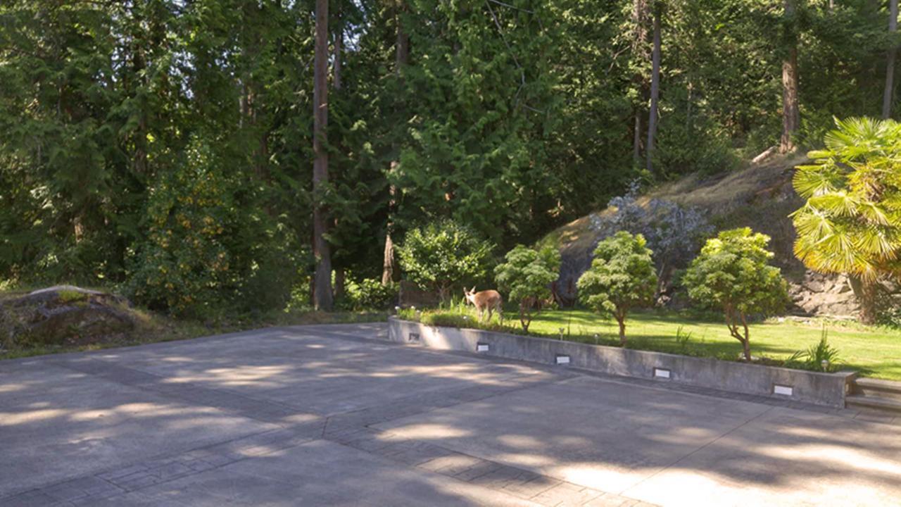 סישלט Sunshine Coast Treetop B&B מראה חיצוני תמונה